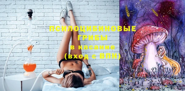 мдма Няндома