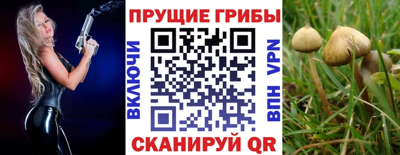 hydra как войти  Урень  Псилоцибиновые грибы прущие грибы 